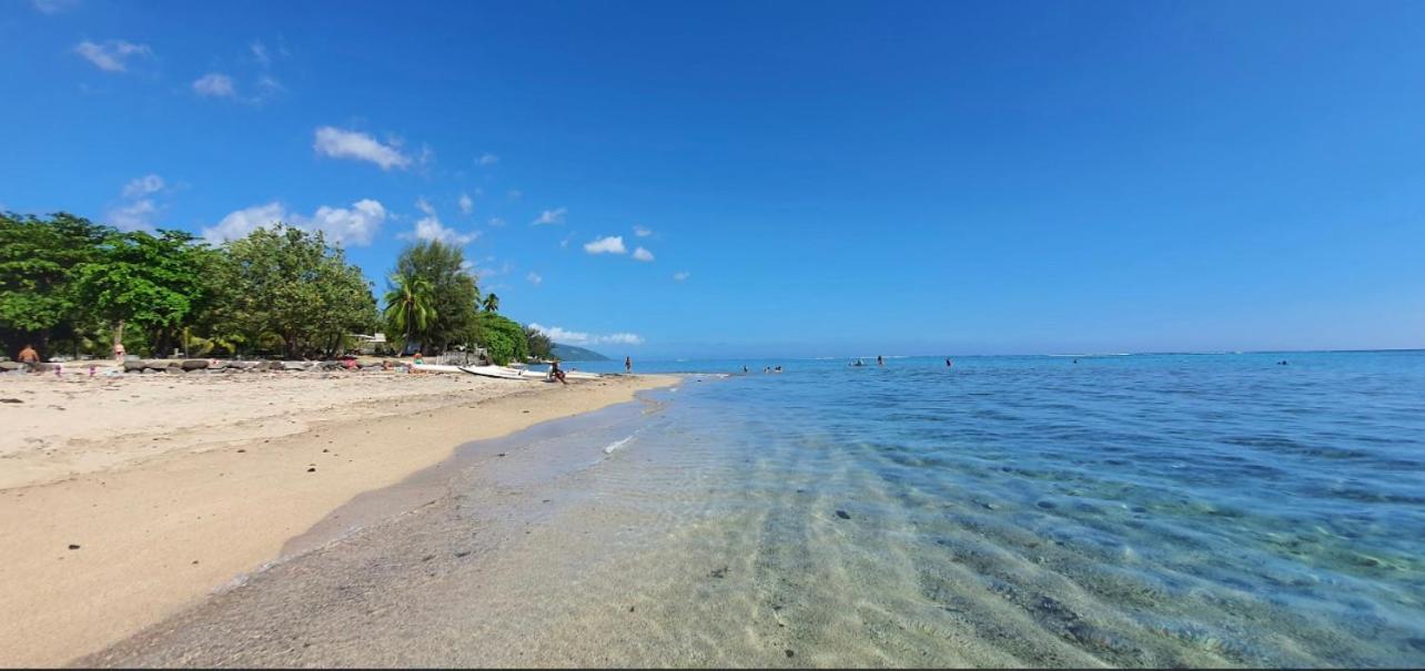 Tuatahi Beach Lodge 푸나우이아 외부 사진
